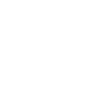 Steam Logo